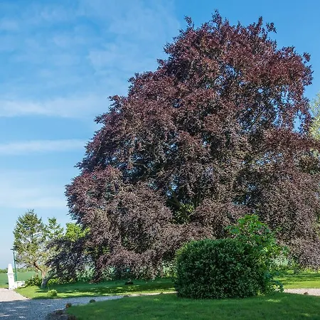 Ferienhof Kolauerhof - Bauernhofurlaub In Grömitz Chambre photo