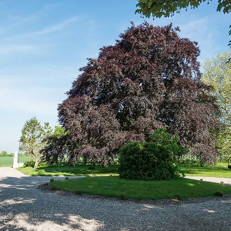 Ferienhof Kolauerhof - Bauernhofurlaub In Grömitz Extérieur photo
